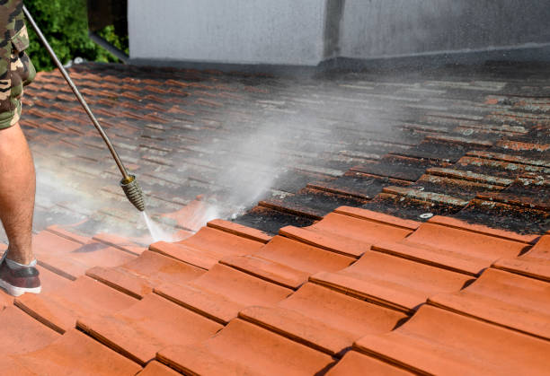 Best Best Pressure Washing Companies  in Montgomery, TX